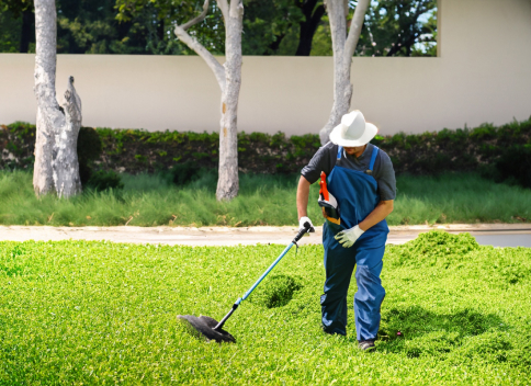 Portrait of the company About Brawny Lawns